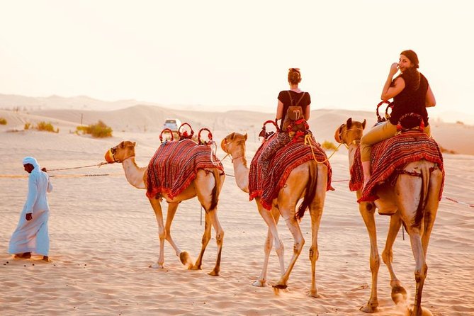 1-Hour Dune Buggy Self-Drive, Camel Ride & Sandboarding Adventure - Ideal Participants