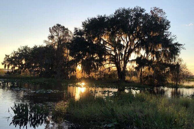 1 Hour Florida Everglades Wildlife Tour - Wildlife Viewing: What Makes It Special