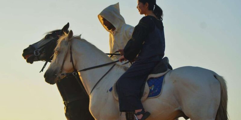 1 Hour Horse Ride : A Majestic Horse Ride in Merzouga - Flora and Fauna