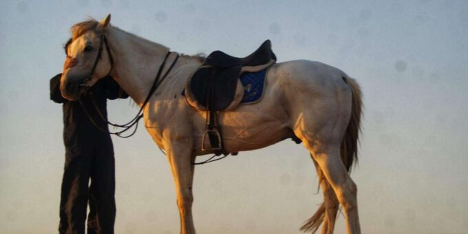 1 Hour Horse Ride : A Majestic Horse Ride in Merzouga - Included Amenities