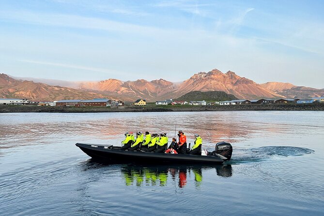 1 Hour Iceland Nature and Wildlife RIB Small Group Guided Safari - Customer Reviews