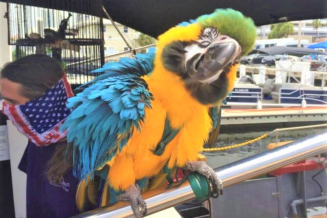 1-Hour Interactive Pirate Cruise in Ft. Lauderdale (Arrive 30 Minutes Early) - Onboard Entertainment and Refreshments