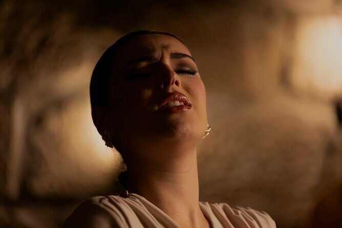 1-hour Intimate Fado Concert in a Typical Venue - A Genuine Taste of Portugal: The 1-hour Intimate Fado Concert in Porto