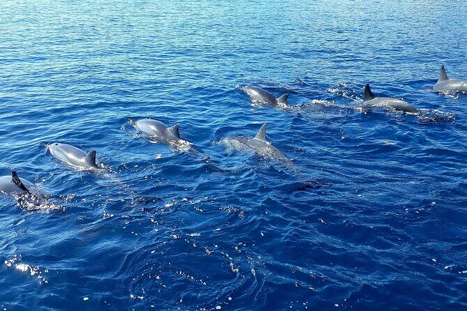 1-hour jet ski excursion in Tahiti - The Sum Up