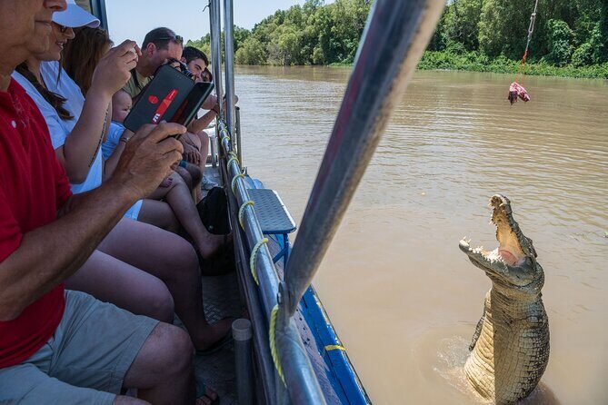 1 Hour Jumping Crocodile Cruise on the Adelaide River - The Experience in Detail: What to Expect