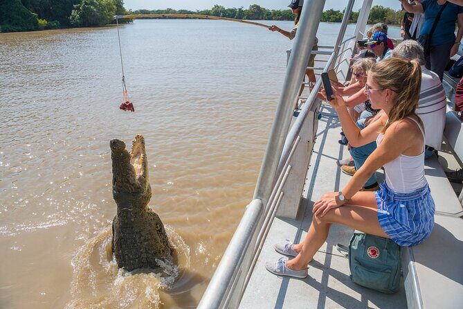 1 Hour Jumping Crocodile Cruise on the Adelaide River - The Pluses and Minuses: What We Found