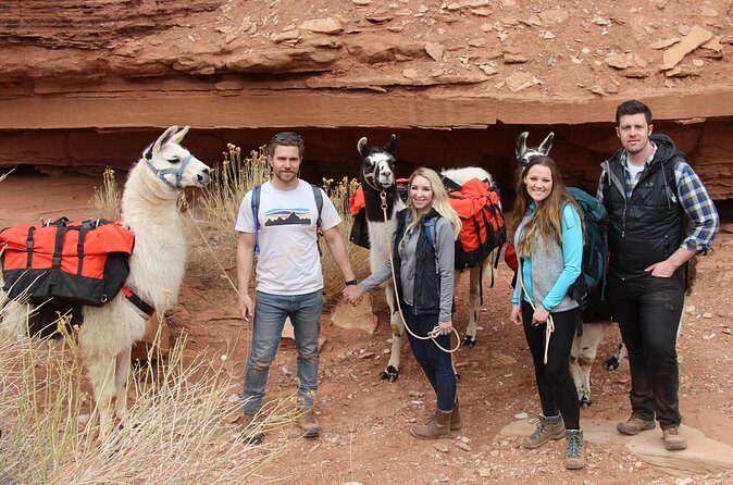1-Hour Llama Hike Family Friendly and Fun - FAQs