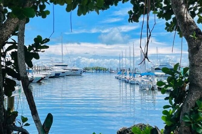 1 Hour Miami Private Boat Ride With Champagne - What to Expect