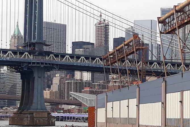 1-hour New York City Skyline Sightseeing Cruise - Common Issues Faced