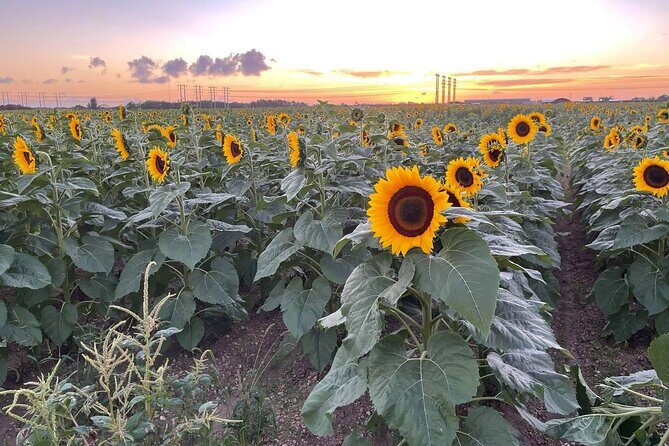 1 hour of ATV + 1 hour horse ride-- free videos and pictures - FAQ