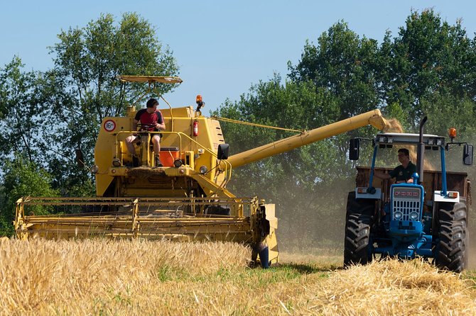 1 Hour of Whisky Distillery Experience - Barrel Storage and Maturation