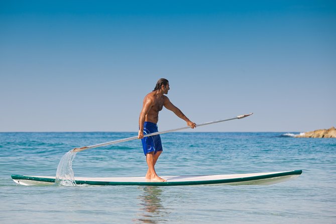 1 Hour Paddleboard Rental - Whats Included