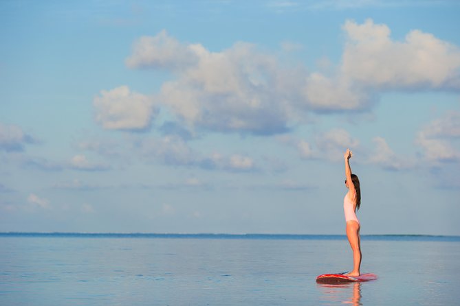 1 Hour Paddleboard Rental - Accessibility Information
