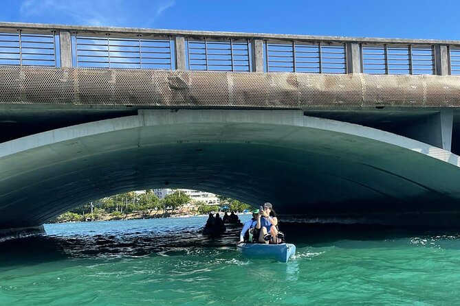 1-Hour Pedal Kayak Guided Adventure Tour in Condado Lagoon - Meeting Point and Pickup Details