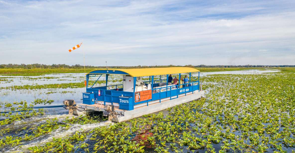 1 Hour Pontoon Adventures - Comfortable Seating and Views