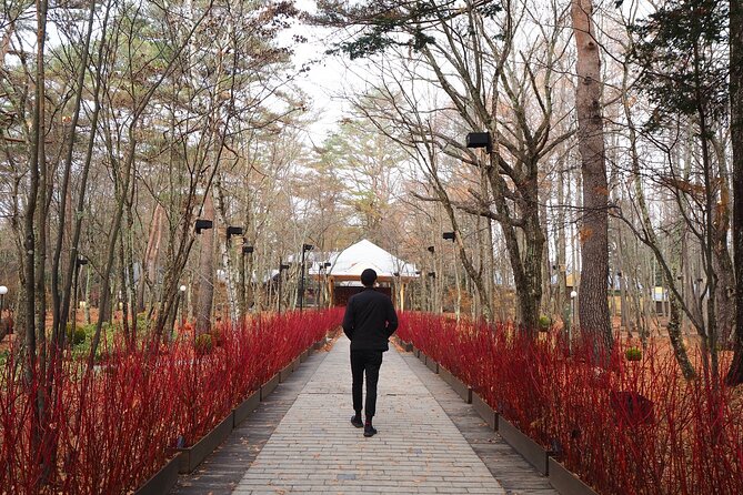 1 Hour Private Photoshoot in Matsumoto Nagano - Cancellation and Rescheduling Policies