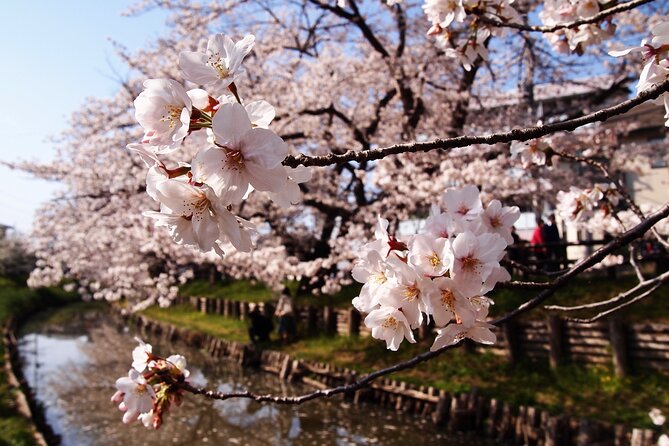 1 Hour Private Photoshoot in Matsumoto Nagano - Customization and Special Requests