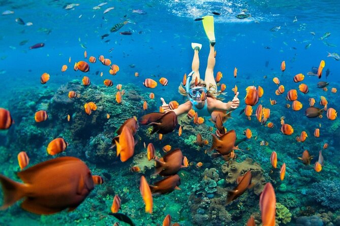1 Hour Private Snorkeling Activity In Montego Bay - Location and Provider Details