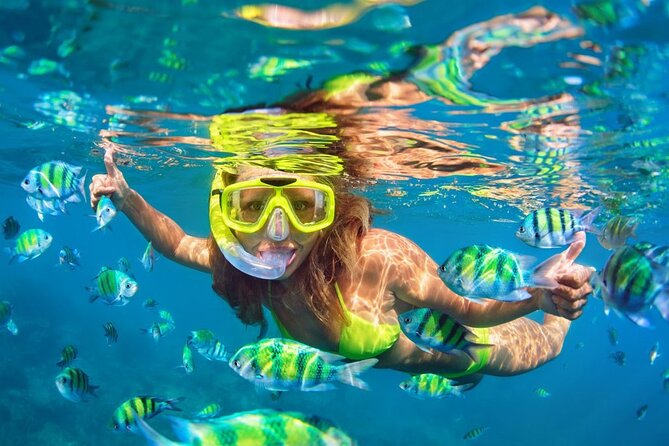 1 Hour Private Snorkeling Activity In Montego Bay - Participant Requirements