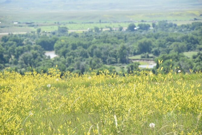 1-Hour Private Tour in Little Big Horn Battlefield - Admission Fees Overview
