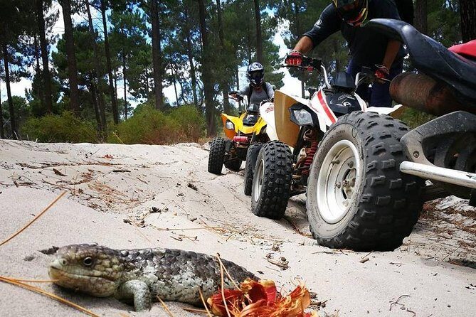 1 Hour Quad Bike Tours, only 30 minutes from Perth - Key Points