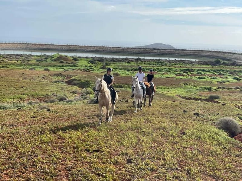 1 hour relaxing horse riding tour in Gran Canaria - An Overview of What You Can Expect