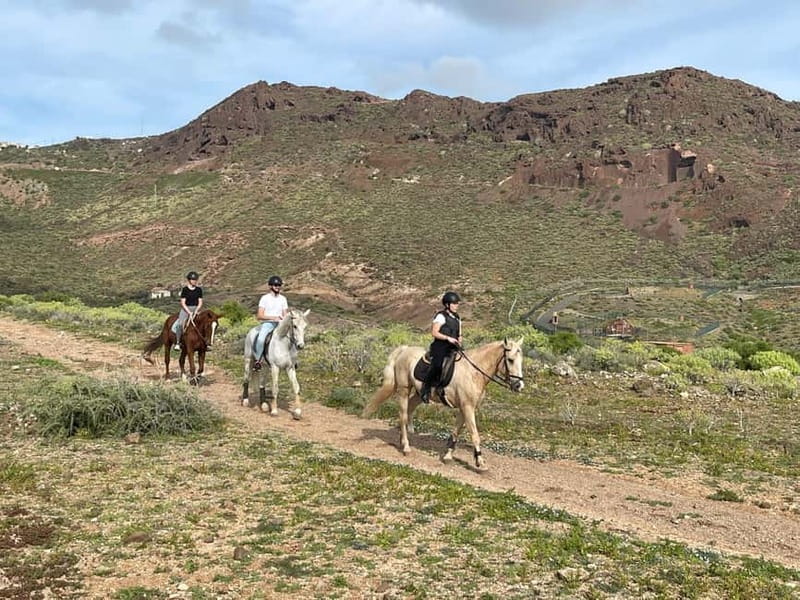 1 hour relaxing horse riding tour in Gran Canaria - The Practical Details