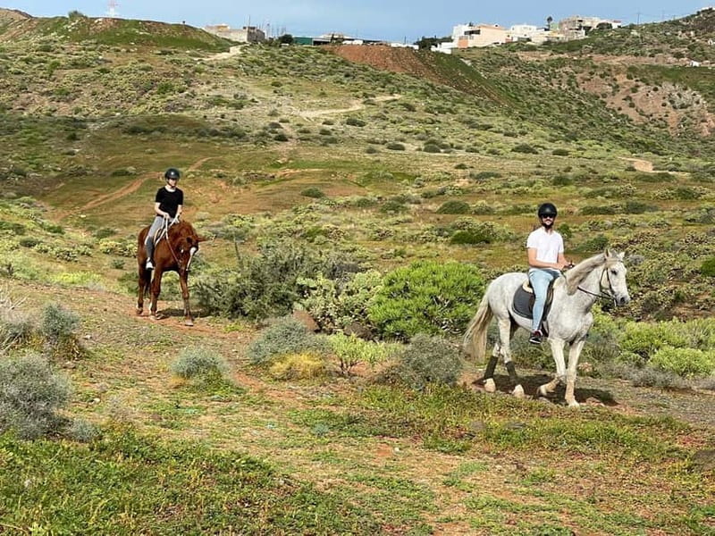 1 hour relaxing horse riding tour in Gran Canaria - The Ride Itself: A Closer Look