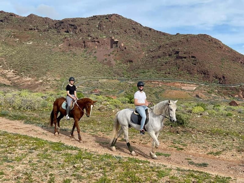 1 hour relaxing horse riding tour in Gran Canaria - Who Will Love This Tour?