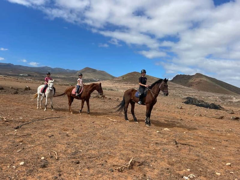 1 hour relaxing horse riding tour in Gran Canaria - Why This Tour Offers Good Value