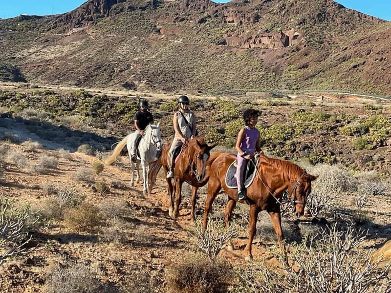 1 hour relaxing horse riding tour in Gran Canaria - Final Thoughts
