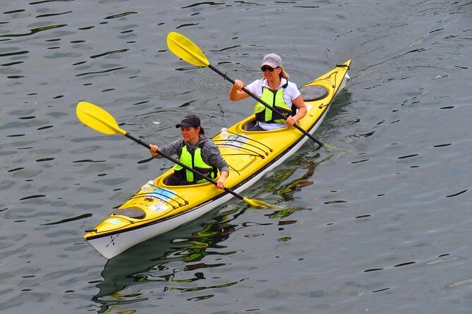 1 Hour Rental Deluxe Double Sea Kayak - What to Expect from Your Kayaking Adventure
