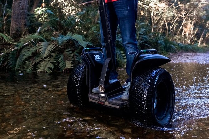 1 Hour Segway Experience - Inclusions and Amenities