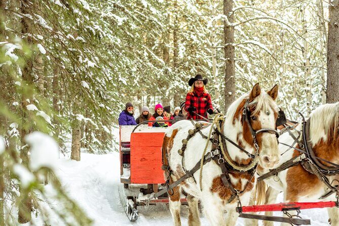 1 Hour Shared Winter Sleigh Ride Experience in Kananaskis - Introduction