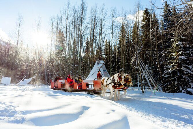 1 Hour Shared Winter Sleigh Ride Experience in Kananaskis - A Scenic and Cozy Ride in Kananaskis