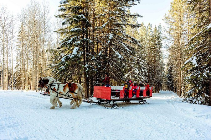 1 Hour Shared Winter Sleigh Ride Experience in Kananaskis - Authenticity and Unique Touches