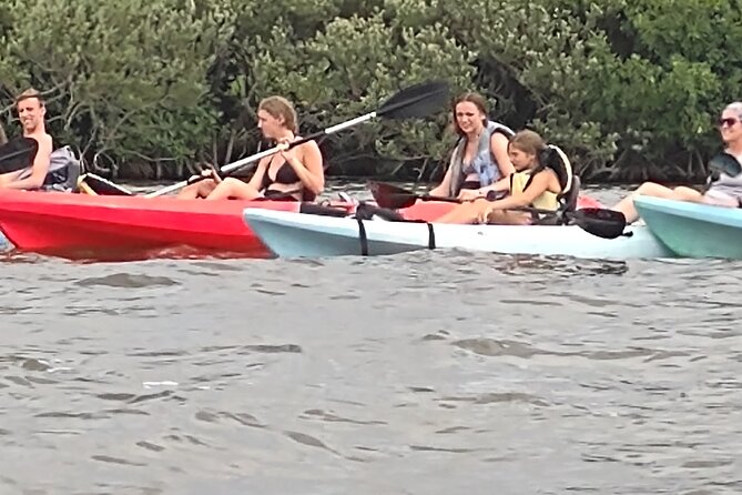 1-Hour Single Kayak Rental With Manatee & Dolphin Sightings - Location: Cocoa Beach, USA