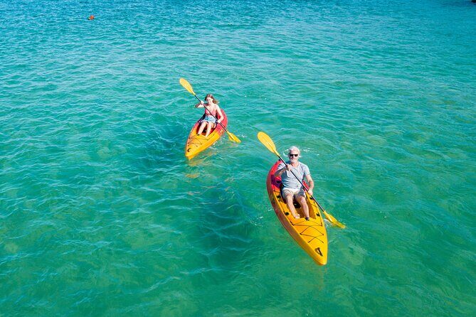 1 Hour Single or Double Kayak Rental to the Nth Bribie Island - A Closer Look at the Kayak Tour Experience