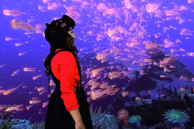 1 Hour VR Gaming Experience in Bournemouth - Adventurous Journeys in VR