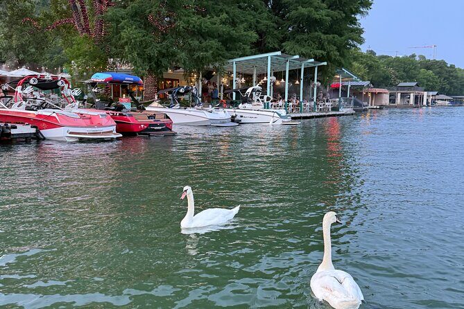1 hr Lake Austin Boat Cruise. BYOB (Shared - Single Tickets) - Key Points