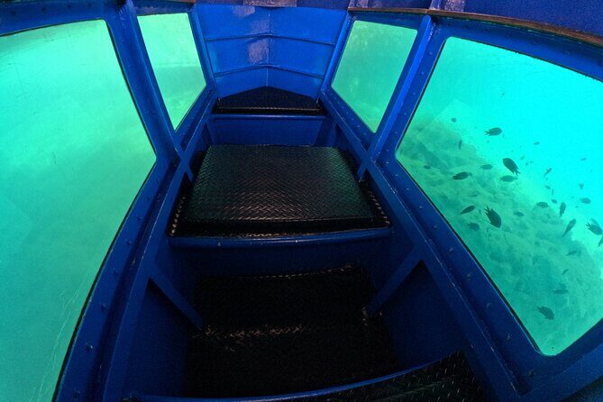 1 hr Reef Explorer in Port Vila harbour, Vanuatu - Who Will Love This Tour?