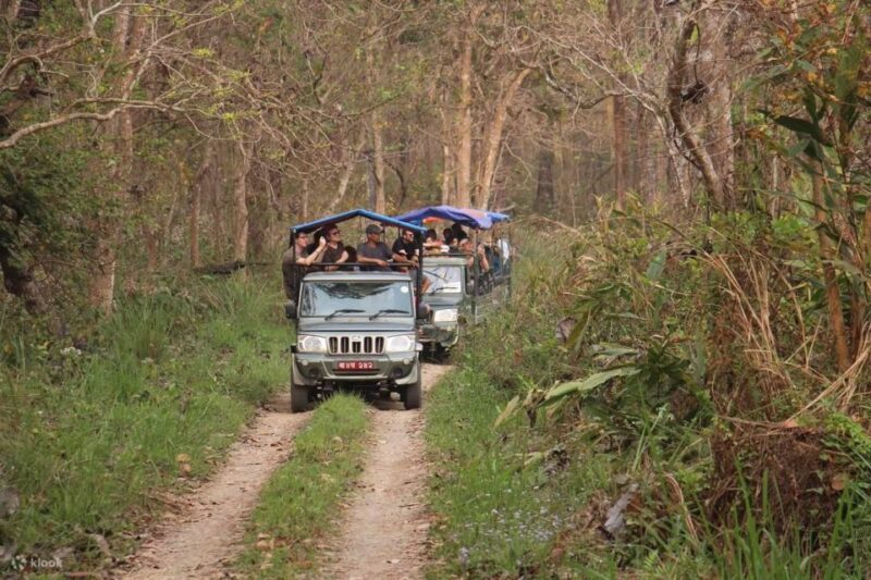 1 Night 2 Day Chitwan Jungle Safari Tour - Inclusions of the Tour