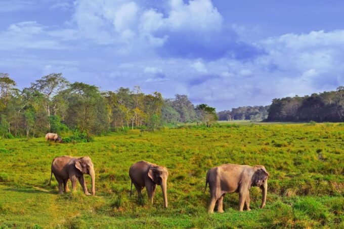 1 Night 2 Day Chitwan Safari Tour Pokhara - Frequently Asked Questions