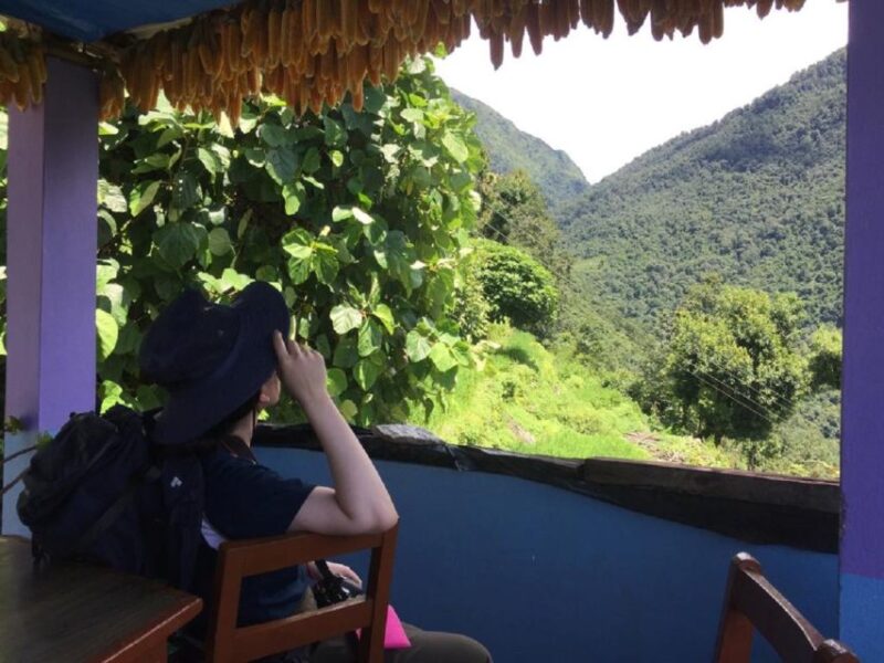 1 Night 2 Days Short Poon Hill Annapurna Trek - Highlights of the Trek