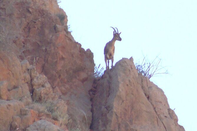 1 night 2 days to Tatev monastery - A Practical Overview of the Tour