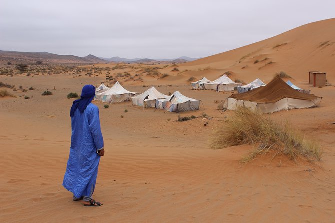 1 Night in Desert From Agadir - Overview of the Desert Experience