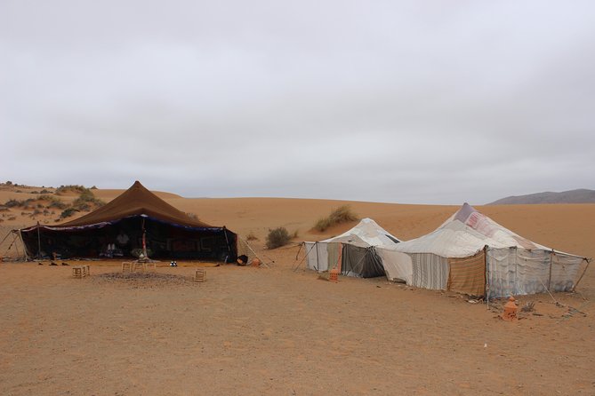 1 Night in Desert From Agadir - Guide Quality and Expertise