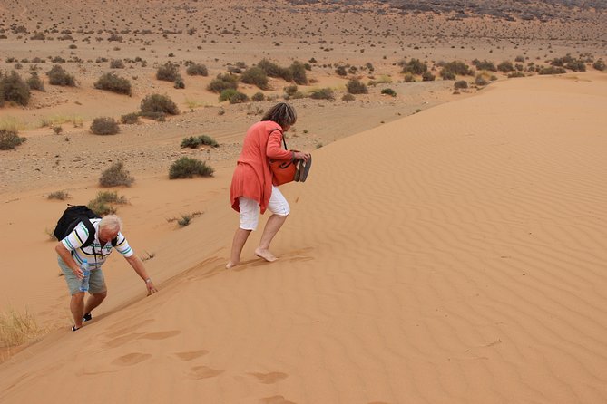 1 Night in Desert From Agadir - Meeting and Pickup Details