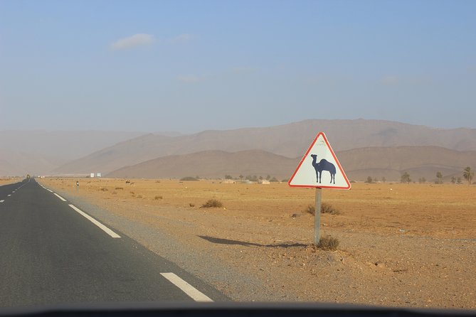 1 Night in Desert From Agadir - Pricing and Cancellation Policy