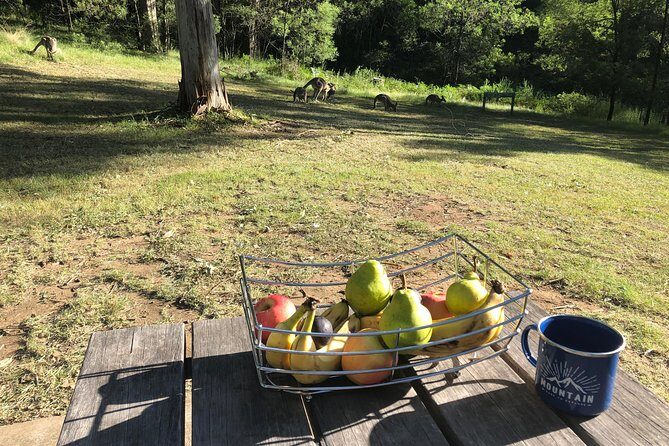 #1 Private Blue Mountains Tour by authentic story telling locals - FAQs  